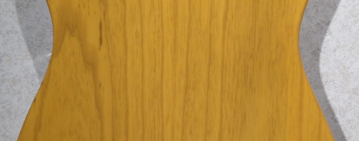 Fender American Professional Telecaster Butterscotch Blonde body back