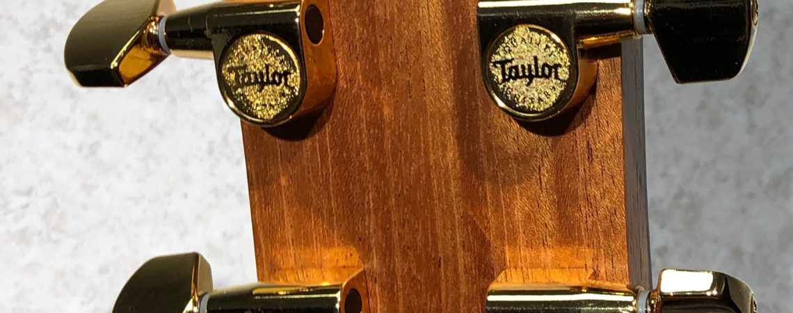 Taylor Guitars 224ce DLX Koa headstock back