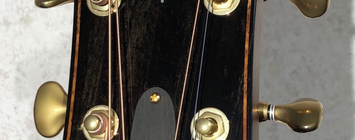 Taylor Guitars 914ce V Class headstock