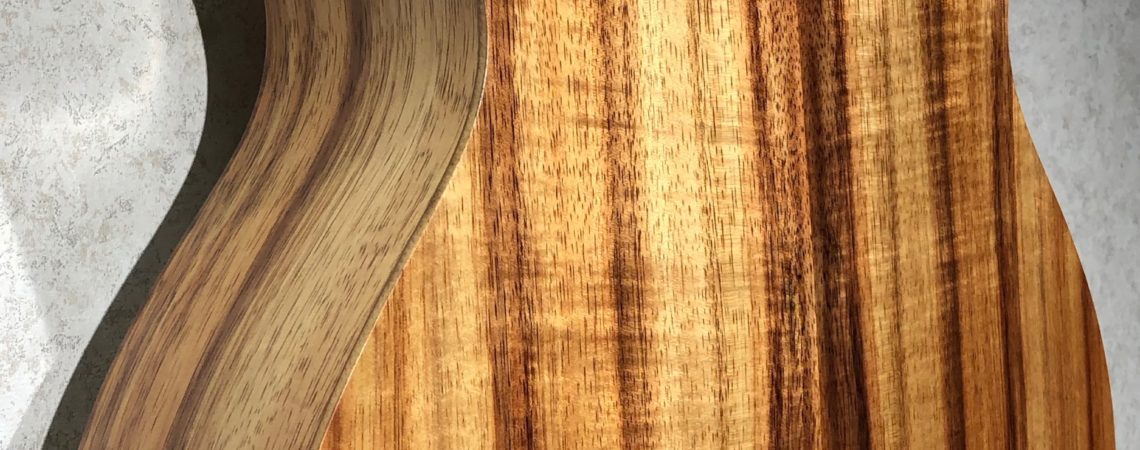 Taylor Guitars GS Mini-e Koa body back left