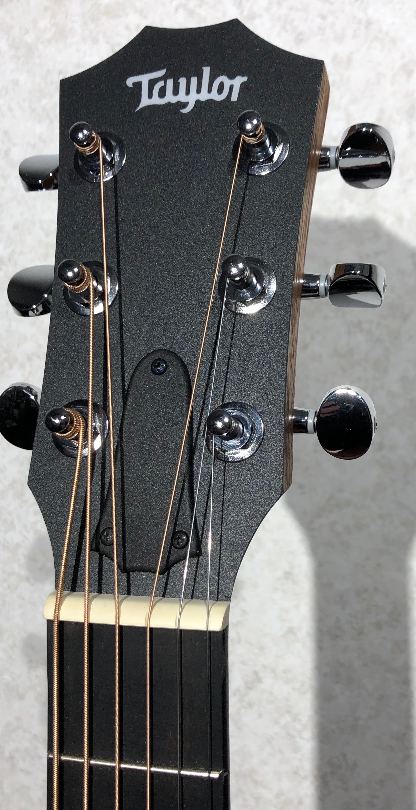 Taylor Guitars GS Mini headstock - Legacy Music